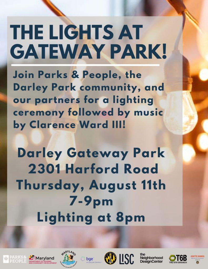 Darley Park Lights Flyer